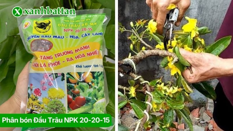 Phân bón Đầu Trâu NPK 20-20-15