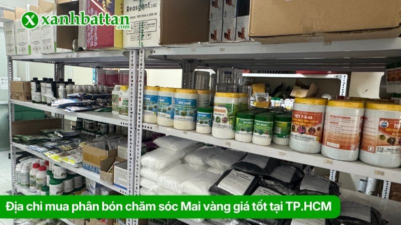 Xanh Bất Tận - Địa chỉ mua phân bón chăm sóc Mai vàng giá tốt tại TP.HCM