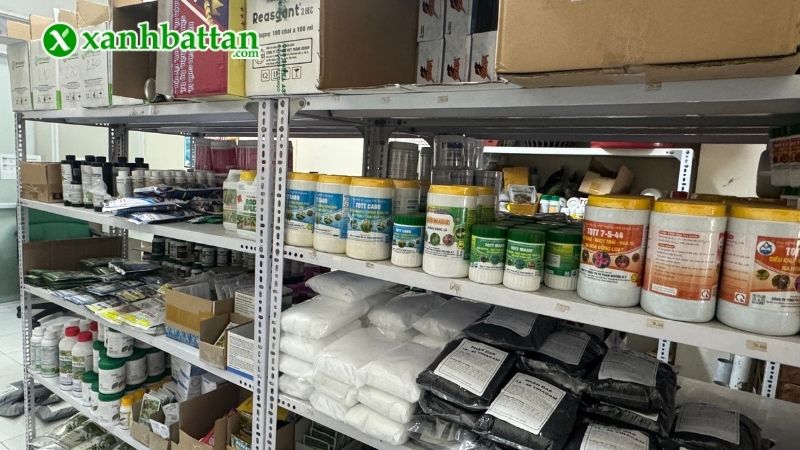 Xanh Bất Tận - Địa chỉ mua thuốc trị bọ trĩ giá tốt tại TP.HCM?