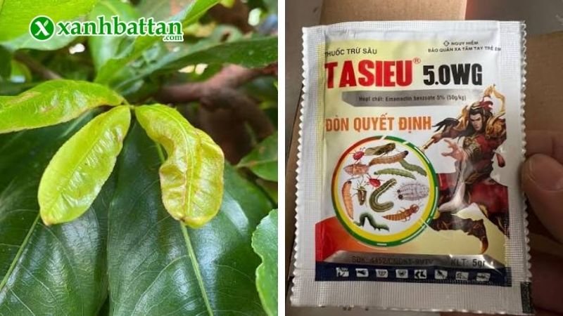 Thuốc trị bọ trĩ sinh học Tasieu 5WG