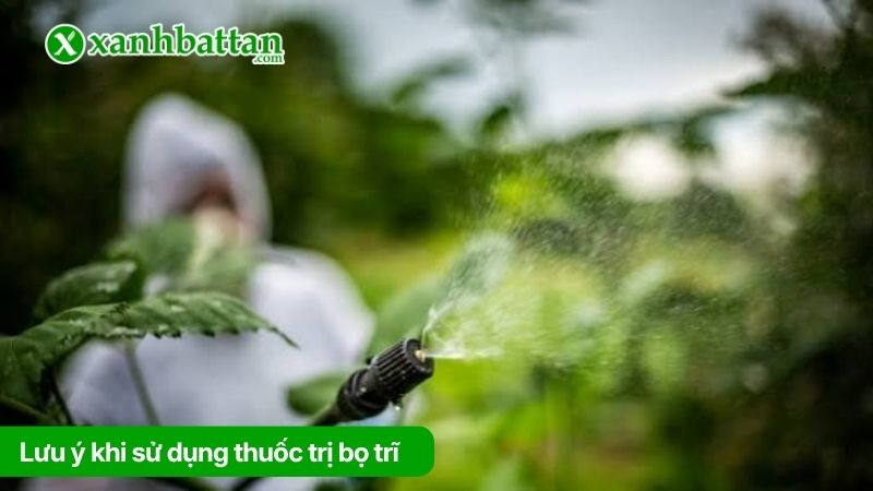 Lưu ý khi sử dụng thuốc trị bọ trĩ