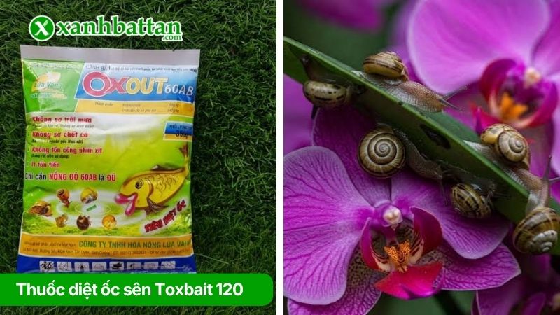 Thuốc Toxbait 120 - Diệt ốc sên nhanh chóng