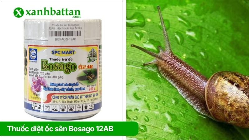 Thuốc Bosago 12AB diệt ốc cực mạnh