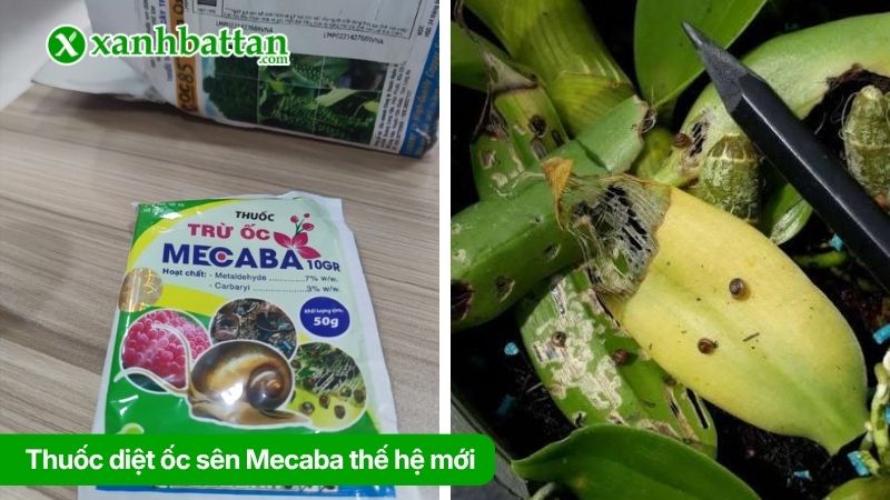 Thuốc diệt ốc sên Mecaba thế hệ mới