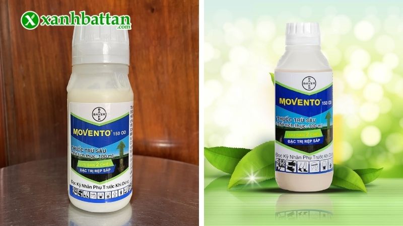 Thuốc MOVENTO 150 OD
