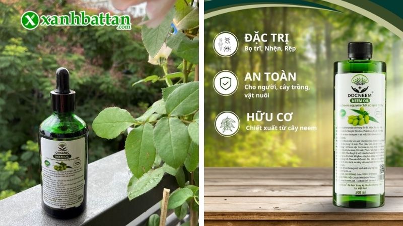 Tinh dầu Neem Oil