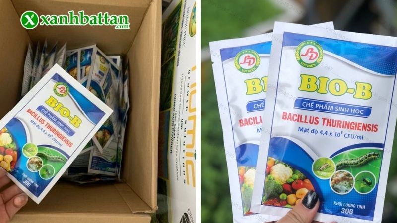 Chế phẩm sinh học Bio B