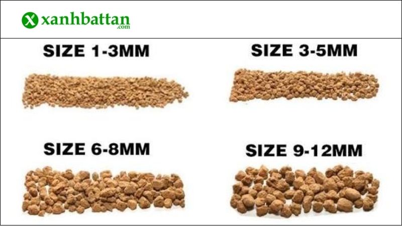 Cách chọn đất trồng Akadama theo từng Size