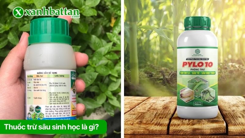 Thuốc trừ sâu sinh học là gì?