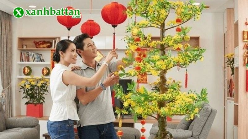 Hình ảnh hoa Mai ngày Tết đẹp nhất