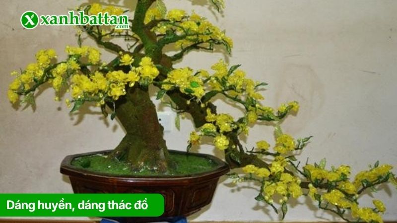 Dáng huyền, dáng thác đổ cây Mai vàng