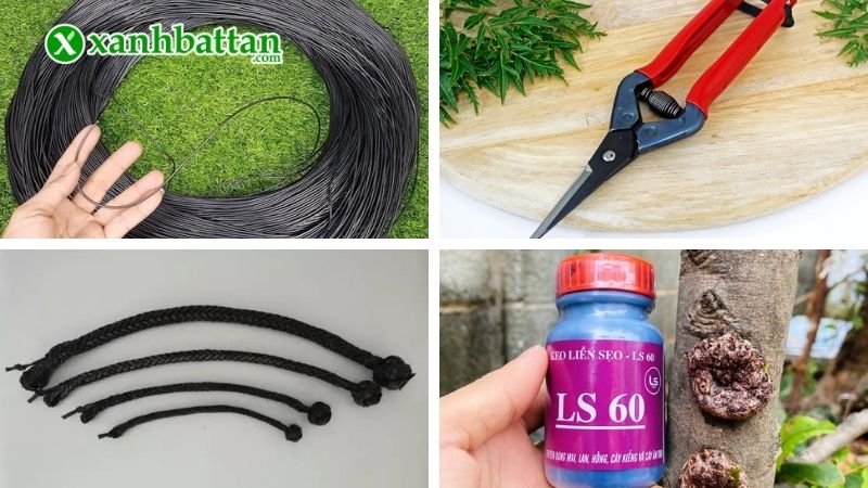 Dụng cụ làm vườn giúp việc uốn Mai dễ dàng