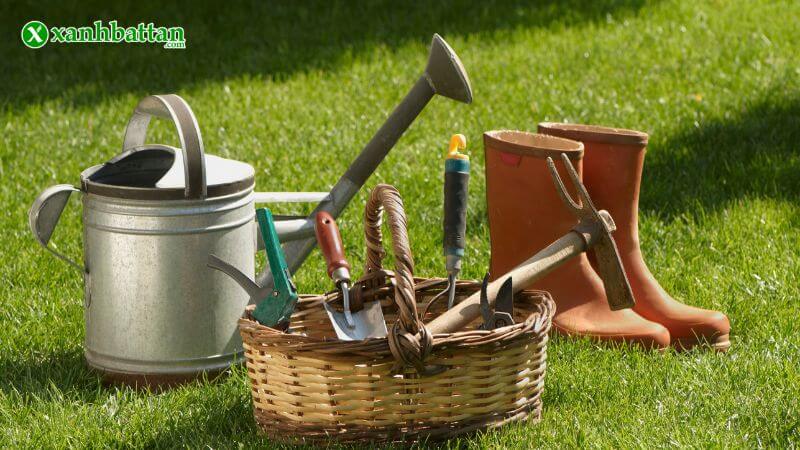 Lợi ích khi sử dụng dụng cụ làm vườn đúng cách