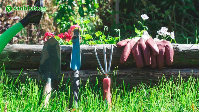 Vì sao cần chuẩn bị dụng cụ làm vườn đầy đủ