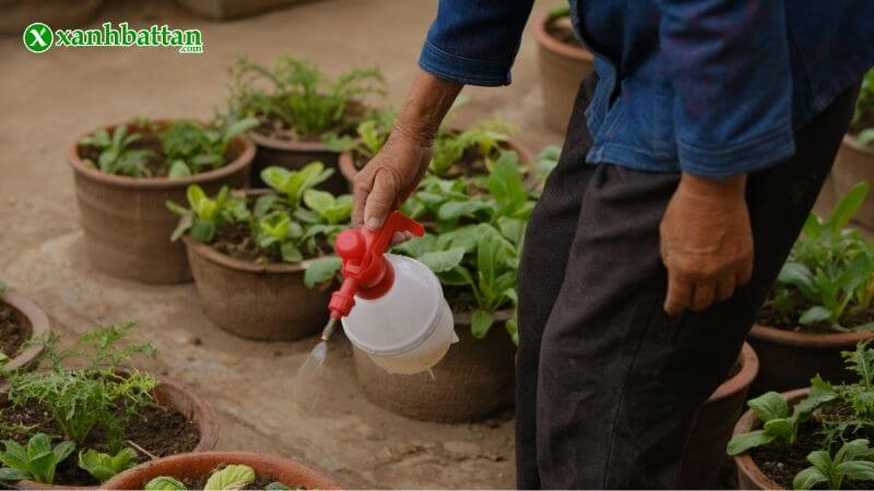 thuốc trừ sâu bệnh hại