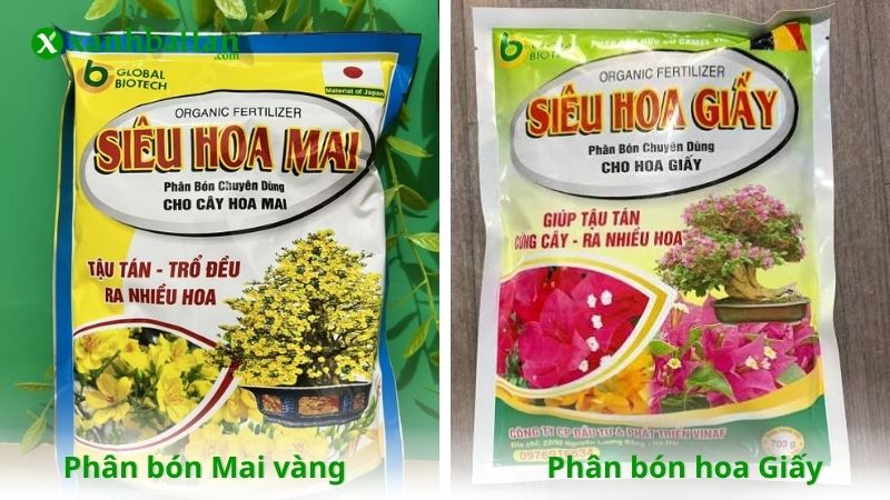 Phân bón cho Mai vàng và phân bón cho hoa Giấy là gì?