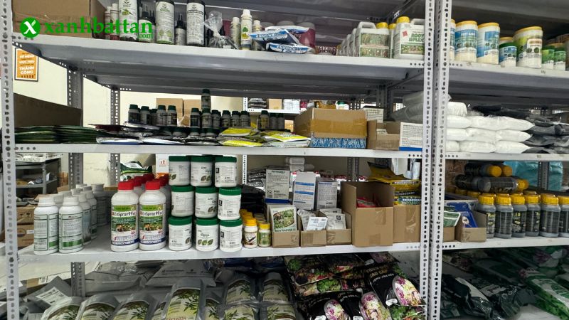 Mua phân bón cho hoa giấy uy tín, chất lượng tại TP.HCM?