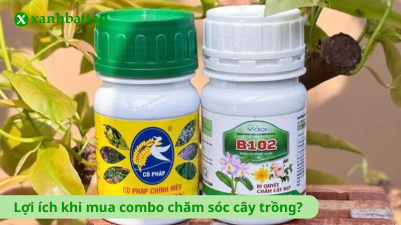Lợi ích khi mua combo khuyến mãi chăm sóc cây trồng?