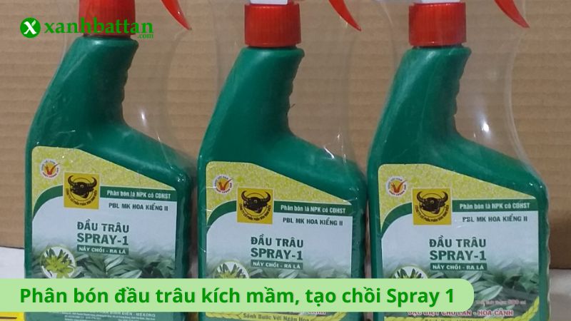 Phân bón đầu trâu kích mầm, tạo chồi Spray 1
