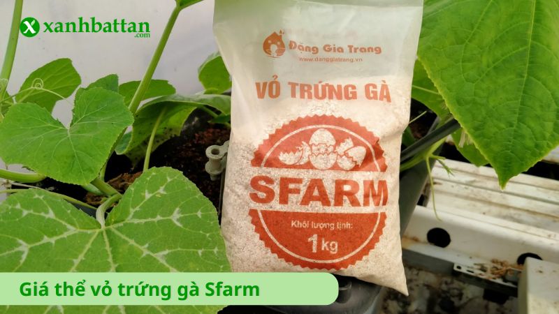 Giá thể vỏ trứng gà Sfarm