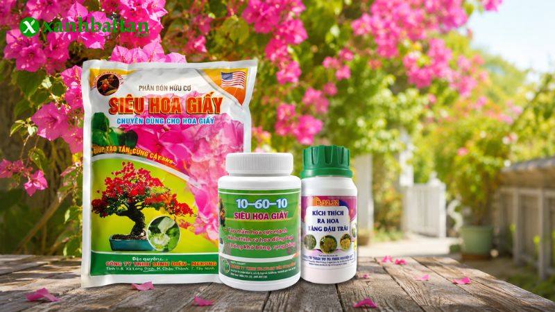 Combo kích hoa giấy