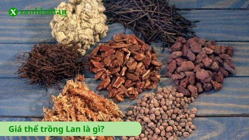 Giá thể trồng Lan là gì?