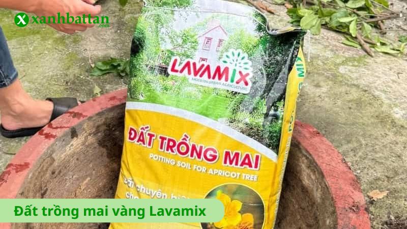 Đất trồng mai vàng Lavamix hữu cơ giàu dinh dưỡng, tơi xốp
