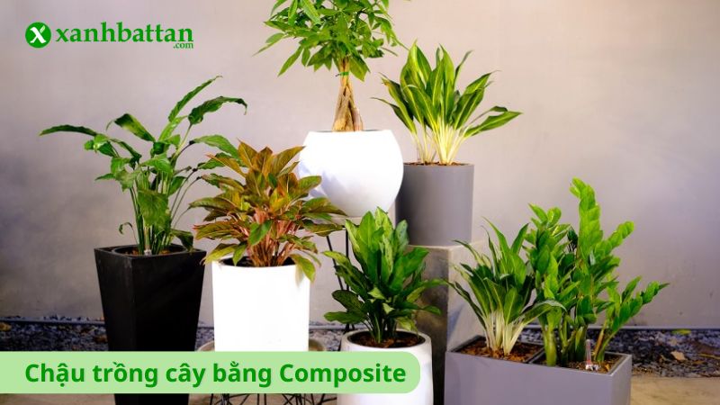 Chậu trồng cây bằng xi măng, đá hoặc composite