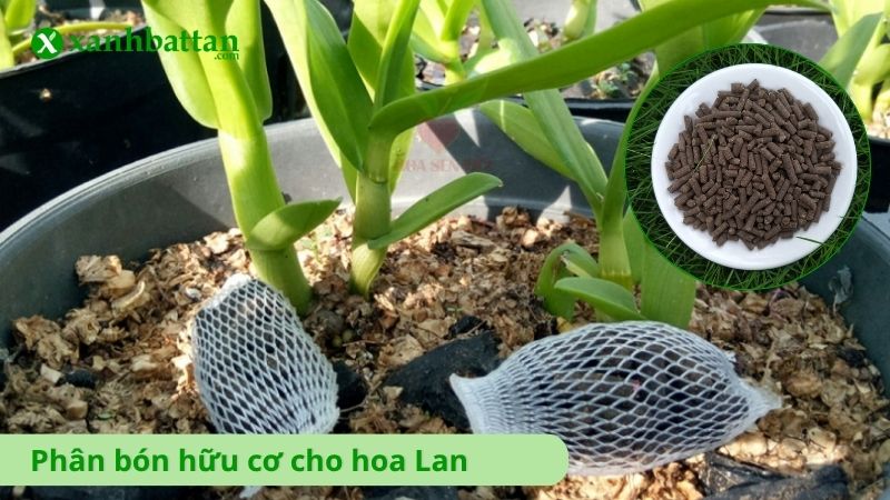 Phân bón hữu cơ sinh học