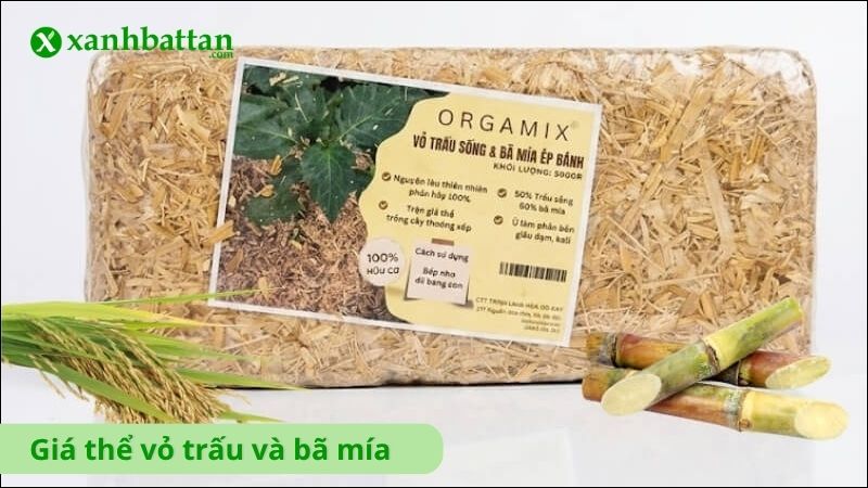 Giá thể vỏ trấu và bã mía