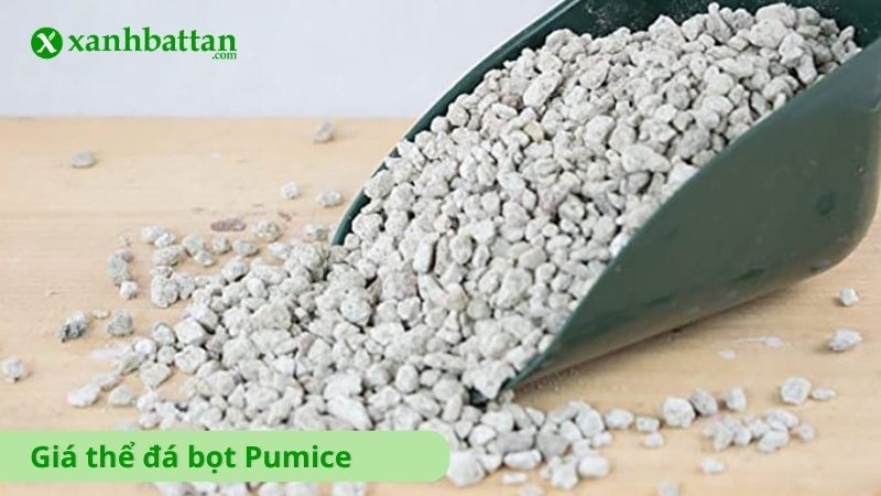 Đá bọt Pumice trồng cây