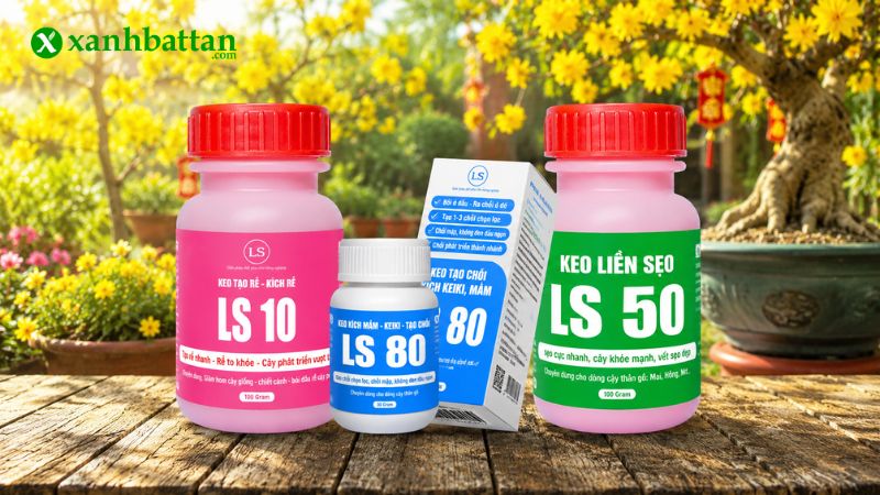 Combo keo tạo rễ, liền sẹo, kích chồi