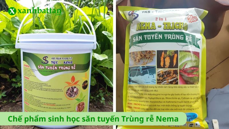 Chế phẩm sinh học săn tuyến Trùng rễ Nema thương hiệu Điền Trang