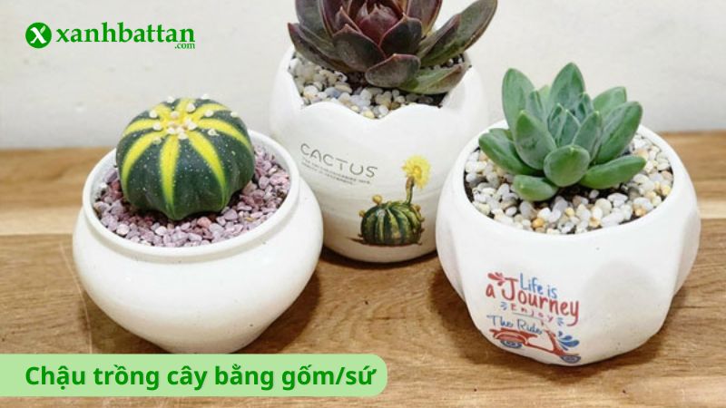 Khay trồng cây bằng gốm, sứ