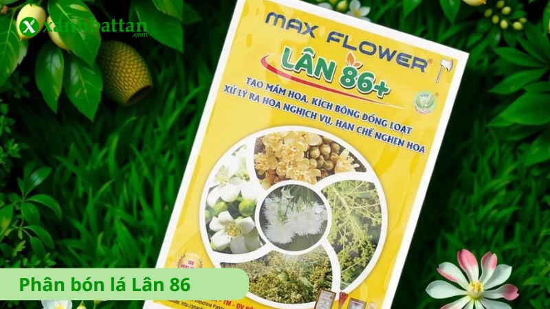 Phân bón lá Lân 86 - Kích thích ra hoa nghịch mùa