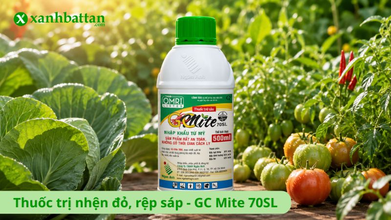 Thuốc trị nhện đỏ, rệp sáp, bọ trĩ - GC Mite 70SL