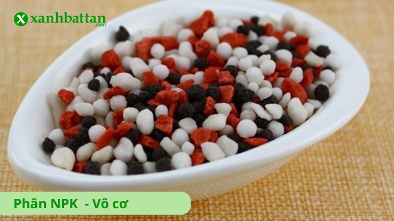 Tìm hiểu phân NPK là gì?