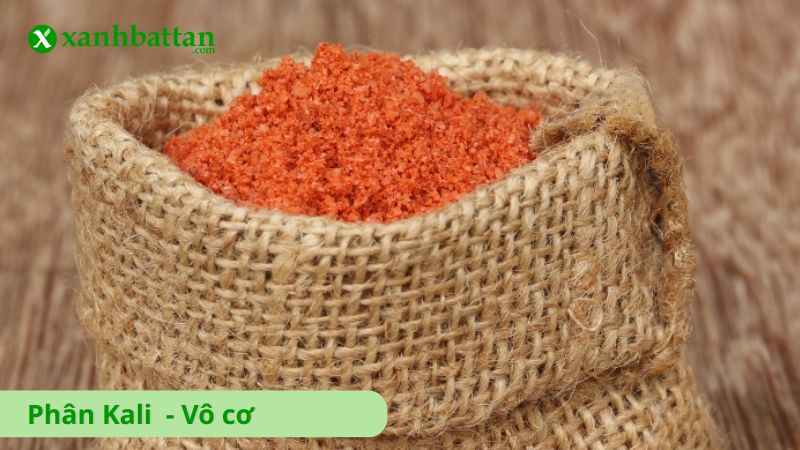 Tìm hiểu phân kali là gì?