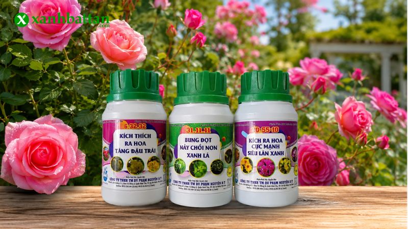 Combo kích chồi, kích hoa, chống rụng cánh