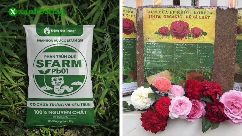 Nhóm giữ ẩm và bổ sung dinh dưỡng