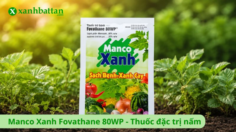 Manco Xanh Fovathane 80WP - Thuốc đặc trị nấm