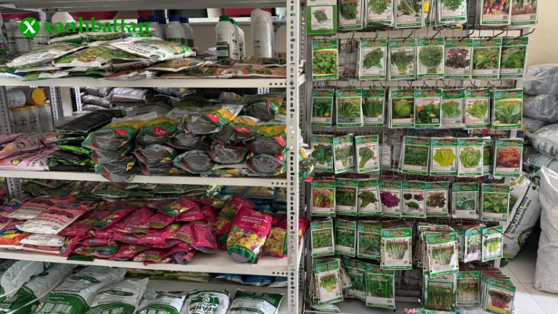 Mua hạt giống rau củ quả ở đâu uy tín tại TP.HCM?
