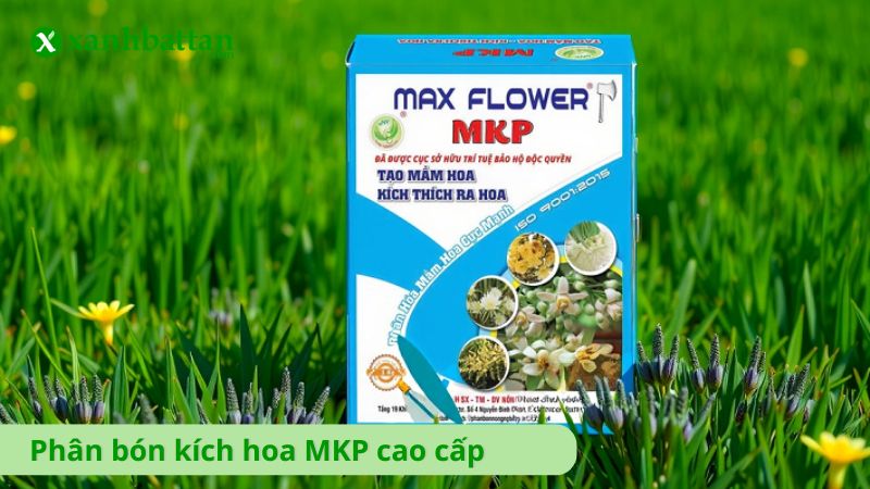 Phân bón MKP cao cấp - Kích hoa cực mạnh