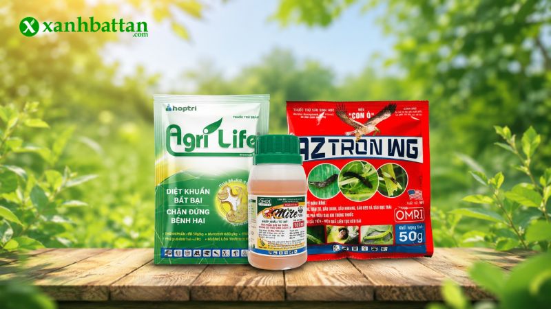 Combo đặc trị bọ trĩ, nhện đỏ, nấm bệnh trên cây