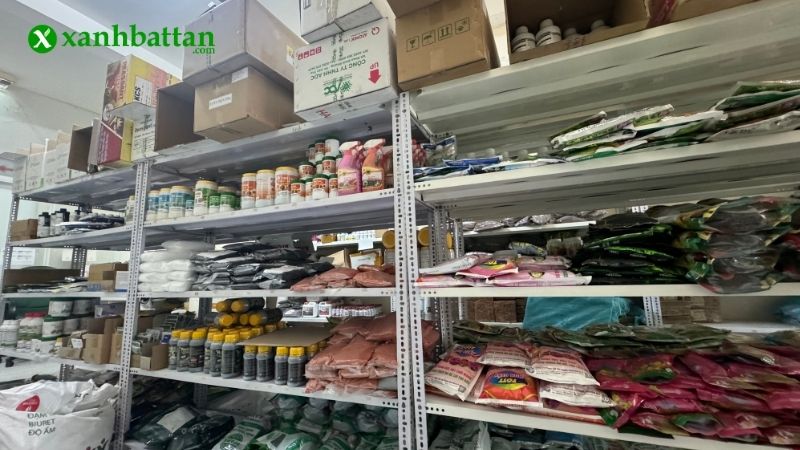Địa chỉ mua đất sạch trồng cây uy tín tại TP.HCM?