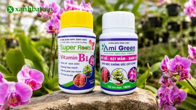 Combo kích rễ, kích mầm, giải độc cây