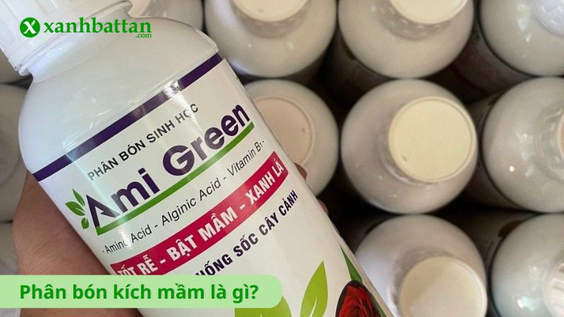 Phân bón kích mầm cho cây là gì?