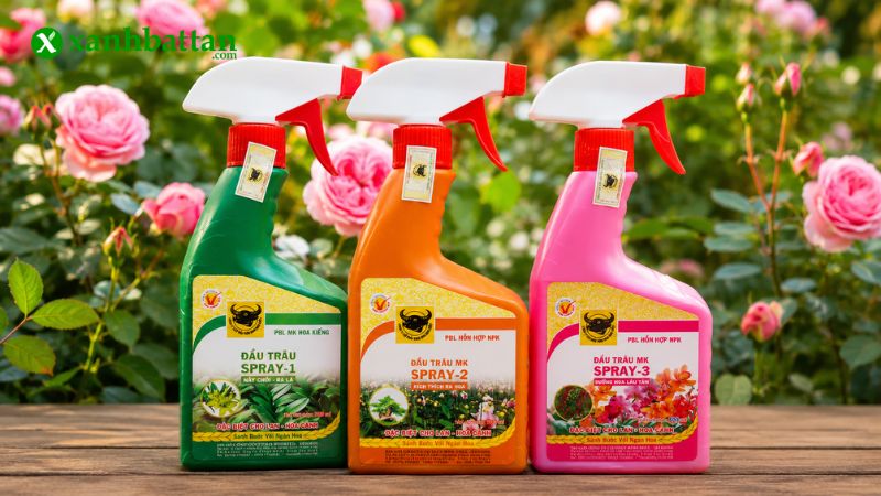 Combo phân bón đầu trâu kích chồi, kích hoa, dưỡng hoa