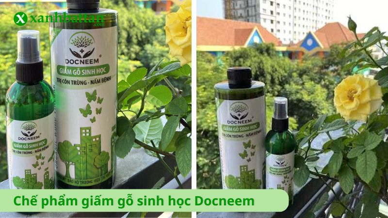 Chế phẩm giấm gỗ sinh học Docneem  - Phòng trừ nấm bệnh