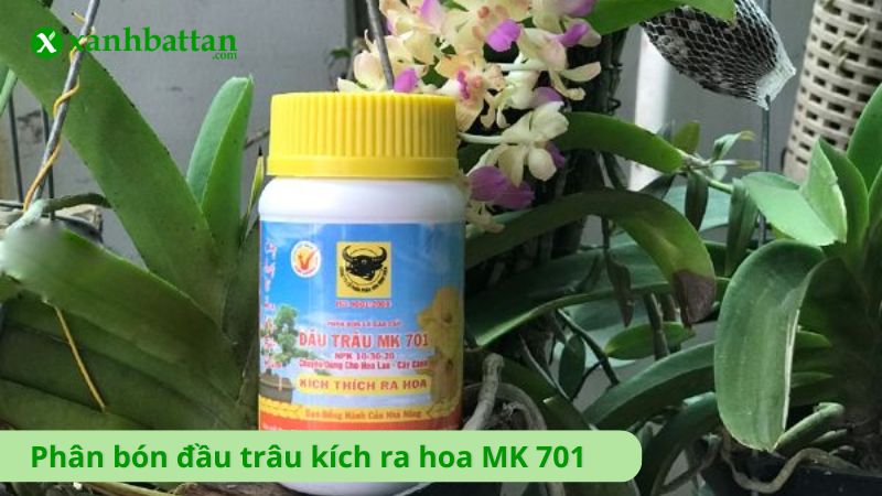 Phân bón đầu trâu kích ra hoa MK 701